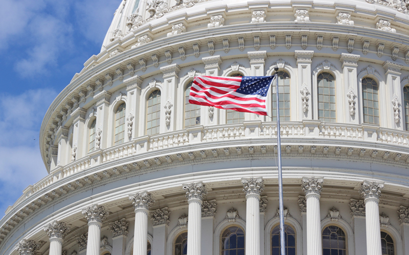 Picture of US Capitol with flag