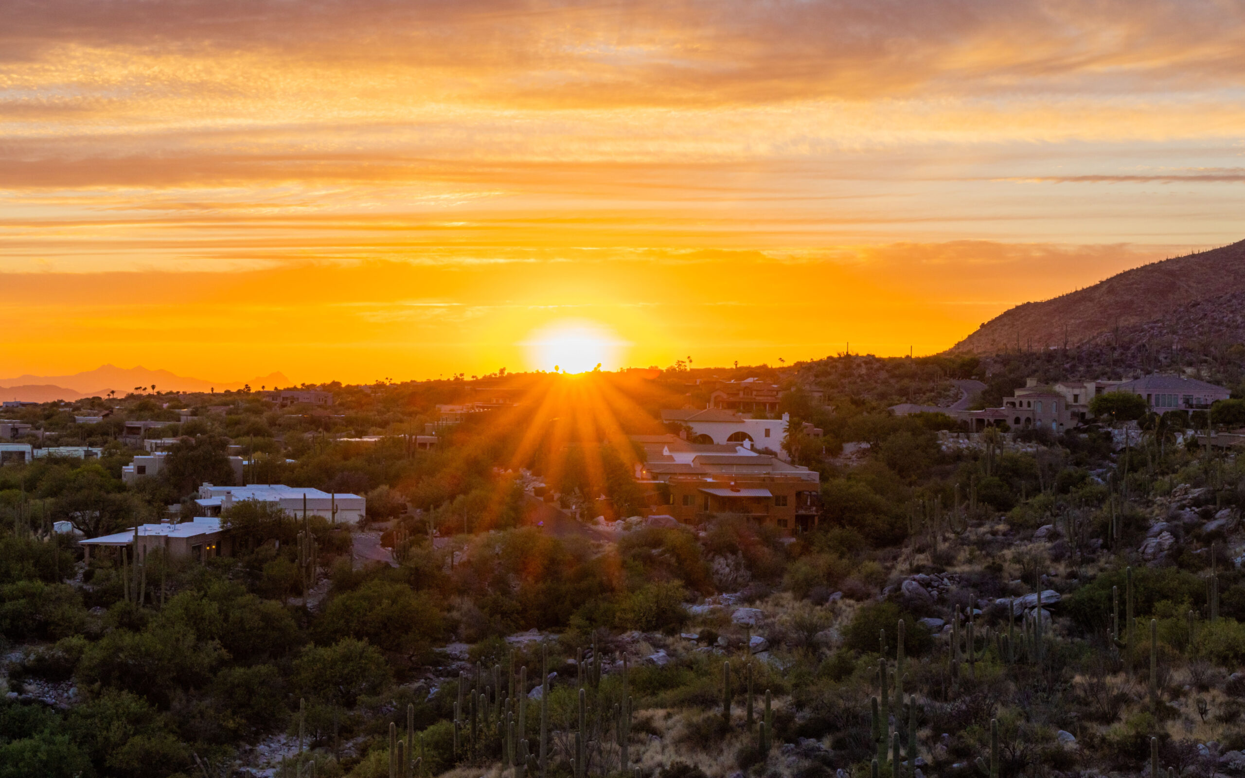 Tucson AZ Homes